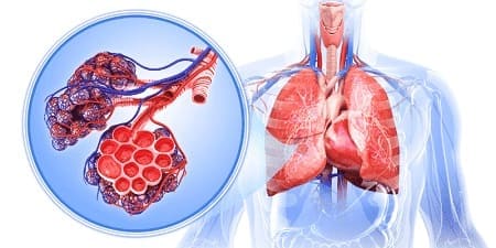 doctor-especialista-en-las-vias-respiratorias